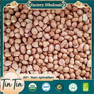 Peanut Kernels Round Shape 35/40 From China