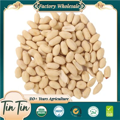 Premium Blanched Peanuts For Global Markets