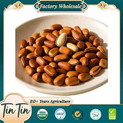 Pine Kernels - High Protein Nut Snack